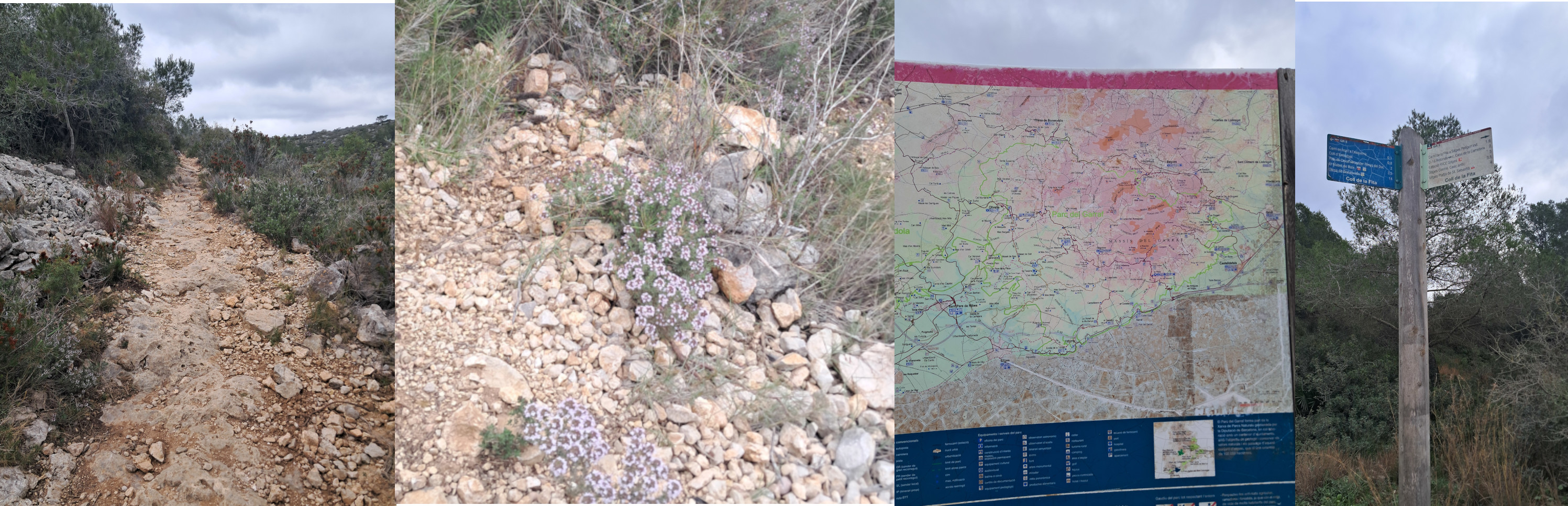 garraf