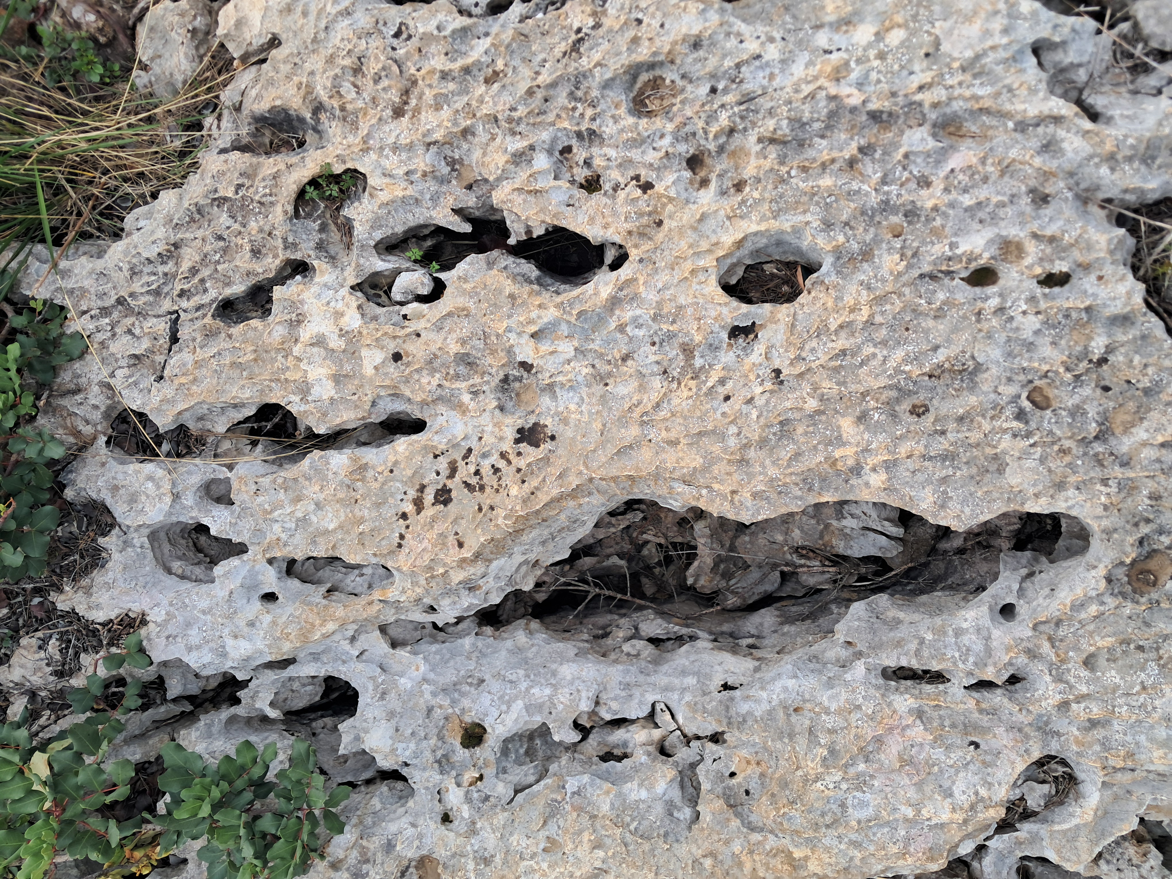 karst
