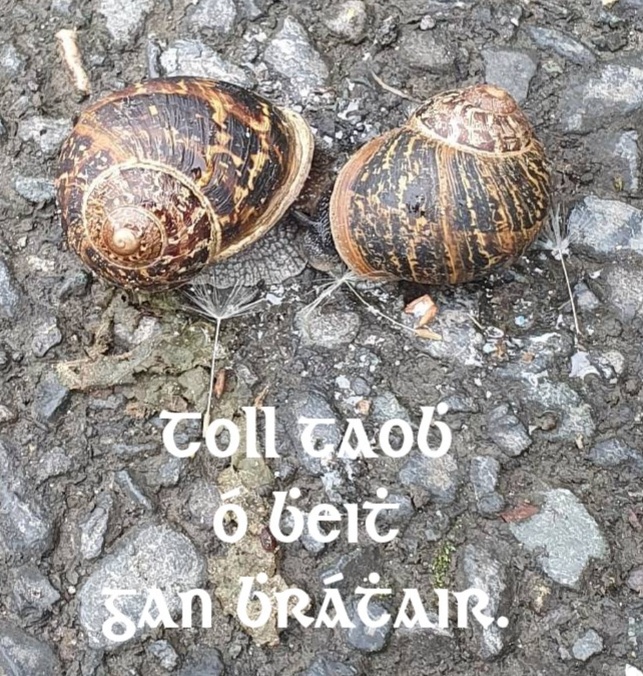 IMG 20240517 185305